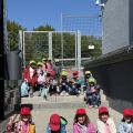 SSV 3 